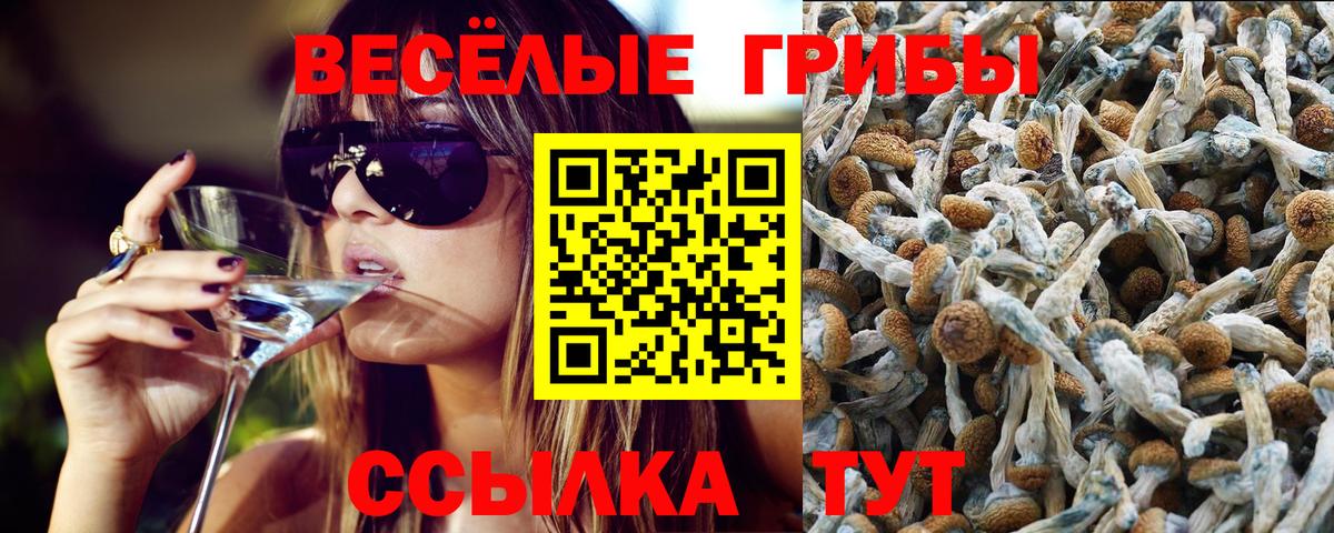 Галлюциногенные грибы ЛСД Печора